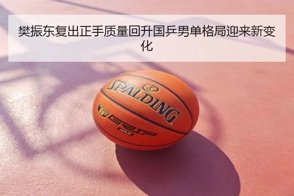 樊振东复出正手质量回升国乒男单格局迎来新变化