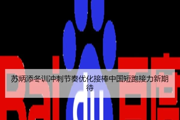 苏炳添冬训冲刺节奏优化接棒中国短跑接力新期待